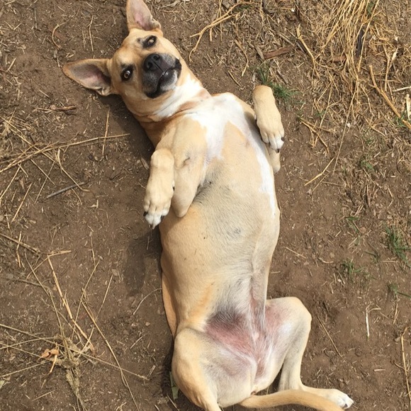 Meet your Posher, Tati - Picture 6 of 10